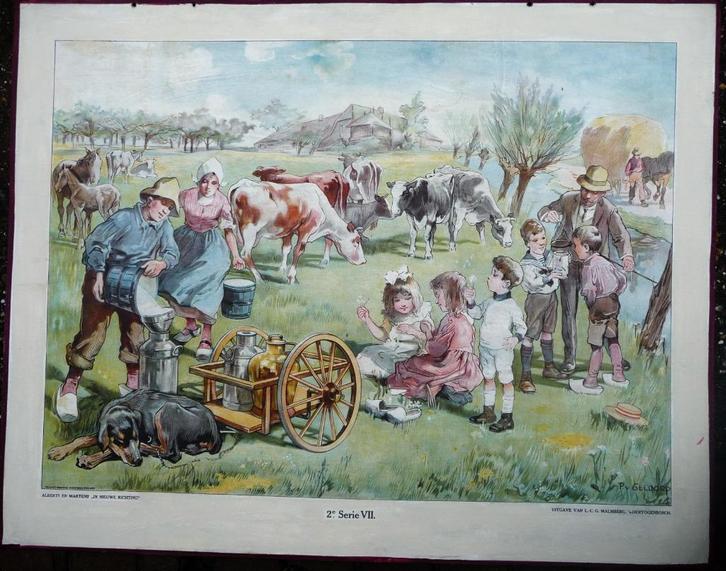 Oude schoolplaat met het boerenleven in de weide met koeien, Antiek en Kunst, Antiek | Schoolplaten, Stad- en Dorpsgezichten, Ophalen of Verzenden