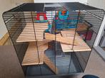 Hamsterkooi met toebehoren, Dieren en Toebehoren, Knaagdieren en Konijnen | Hokken en Kooien, Kooi, Minder dan 75 cm, Minder dan 60 cm