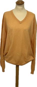 Ermenegildo Zegna Cashmere Trui - Maat 54, Zegna, Maat 52/54 (L), Overige kleuren, Ophalen of Verzenden