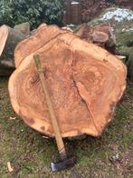 Beuken Boomschijf - 80-90 x 30-35cm, Ophalen, Gebruikt, Rond, 75 cm of meer