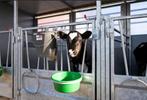 groepshuisvesting, Dieren en Toebehoren, Ophalen of Verzenden, Nieuw