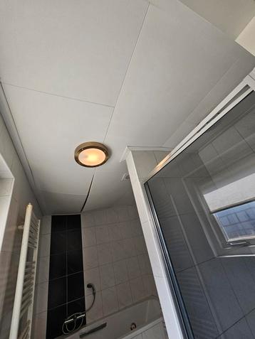 Offerte gevraagd! Plafond badkamer vervangen (korte termijn) beschikbaar voor biedingen
