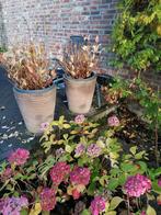 Deroma Potten - Set van 2, Tuin en Terras, Gebruikt, Rond, Binnen, Terracotta