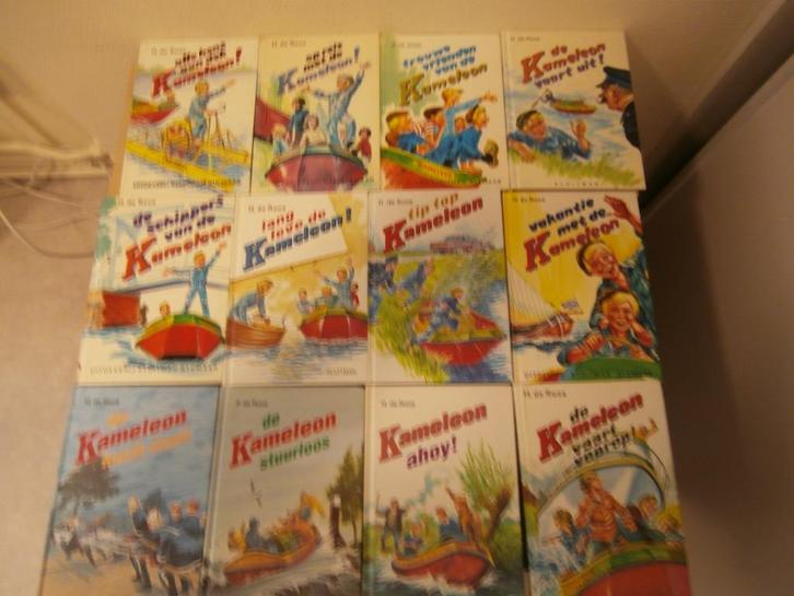 De Kameleon.., Boeken, Kinderboeken | Jeugd | 13 jaar en ouder, Gelezen, Ophalen of Verzenden