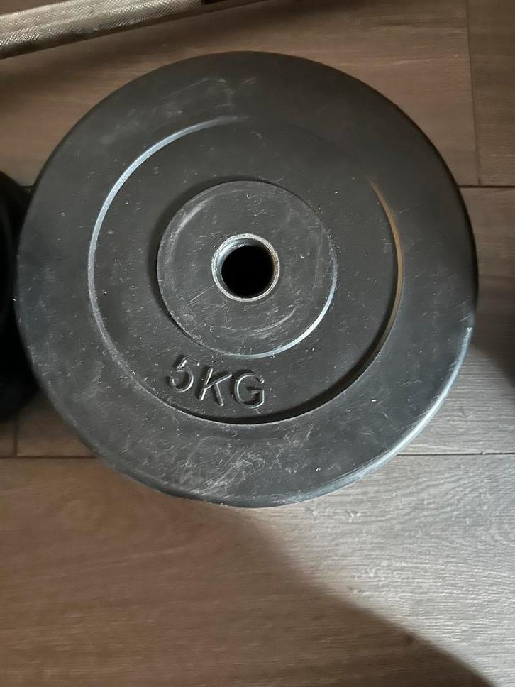 Gewichten / Halterschijven - Fitness, Sport en Fitness, Fitnessmaterialen, Gebruikt, Halterschijven, Armen, Ophalen of Verzenden