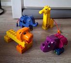 Leeuw, olifant, giraf en neushoorn bouwen, Kinderen en Baby's, Speelgoed | Duplo en Lego, Ophalen of Verzenden, Zo goed als nieuw