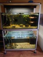 Aquarium stelling bestaande uit 4 aquaria van 100 cm x 50 cm, Dieren en Toebehoren, Gebruikt, Ophalen, Leeg aquarium