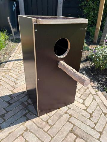 Broedbloek papegaai betonplex beschikbaar voor biedingen