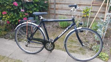 Giant freerider Heren fiets 28 inch Frame maat 57 cm hoog  beschikbaar voor biedingen