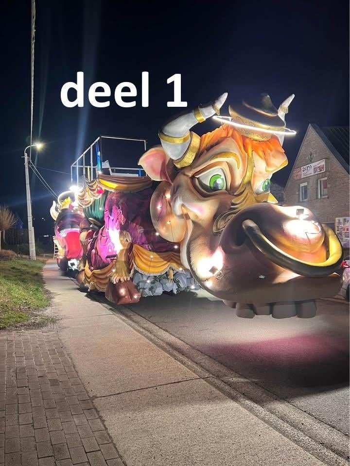 carnavalswagen te koop vanaf  €550, Ophalen, Zo goed als nieuw, Overige typen, Carnaval