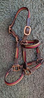 Halster maat Cob, Ophalen of Verzenden, Overige soorten