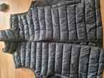 bodywarmer fire & ice Bogner maat L, Ophalen of Verzenden, Zo goed als nieuw, Blauw