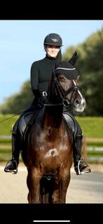 Fokmerrie uit top stam!, Dieren en Toebehoren, Paarden, Merrie, ZZ, Gechipt, Dressuurpaard