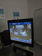 Hovawartpuppies met stamboom, 8 tot 15 weken, Parvo, Meerdere, Meerdere dieren