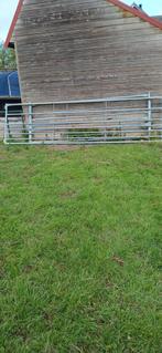 Te koop gegalvaniseerd weidehek, Dieren en Toebehoren, Schaap