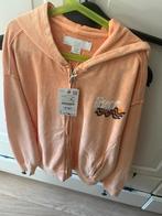 Zara vest jongens Maat 152, Ophalen of Verzenden, Zo goed als nieuw, Jongen of Meisje