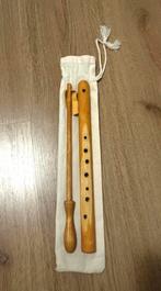 Choroi Blokfluit - Vrijeschool, Ophalen of Verzenden, Zo goed als nieuw, Houtblazer, Met koffer of draagtas