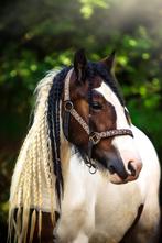 Verzorgster gezocht omgeving Molenlanden., Dieren en Toebehoren, Paarden en Pony's | Verzorgingsproducten, Ophalen