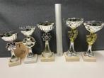 Trofeeën/wedstrijdbekers/sportprijzen/bokalen (set 34), Sport en Fitness, Ophalen of Verzenden, Gebruikt