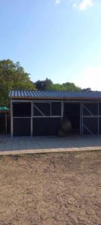 pensioen plek/ revalidatie all in verzorging aan huis, Dieren en Toebehoren, Stalling en Weidegang