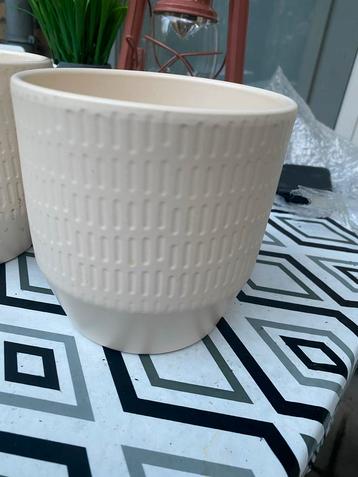 Mooie Bloempot beschikbaar voor biedingen