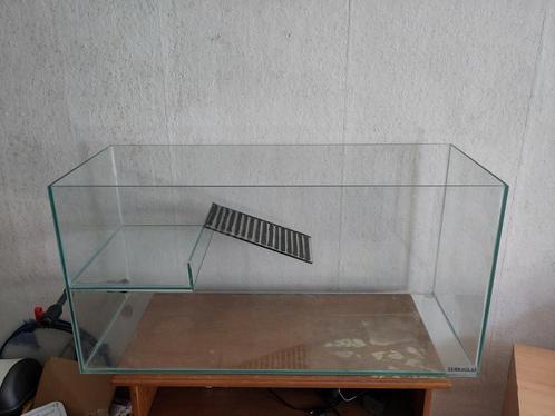 Aquarium 120 L met zandbak met warmtelamp voor schildpad, Dieren en Toebehoren, Reptielen en Amfibieën | Toebehoren, Gebruikt