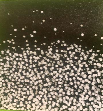 Metallic & Shimmer papier Stampin Up NIEUW beschikbaar voor biedingen