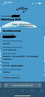 Wildeburg ticket 2025, Eén persoon