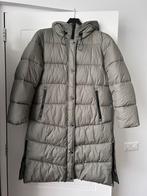 Nieuwe gewatteerde jas, Ophalen of Verzenden, Nieuw, Maat 38/40 (M), Groen