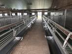 Kalveren stal inrichting, Dieren en Toebehoren, Opfok