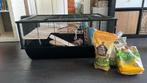 Groot Hamster kooi met diverse speeltjes en benodigdheden, Hamster, Mei, Meerdere dieren, Tam