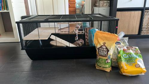 Groot Hamster kooi met diverse speeltjes en benodigdheden, Dieren en Toebehoren, Knaagdieren, Meerdere dieren, Hamster, Mei, Tam