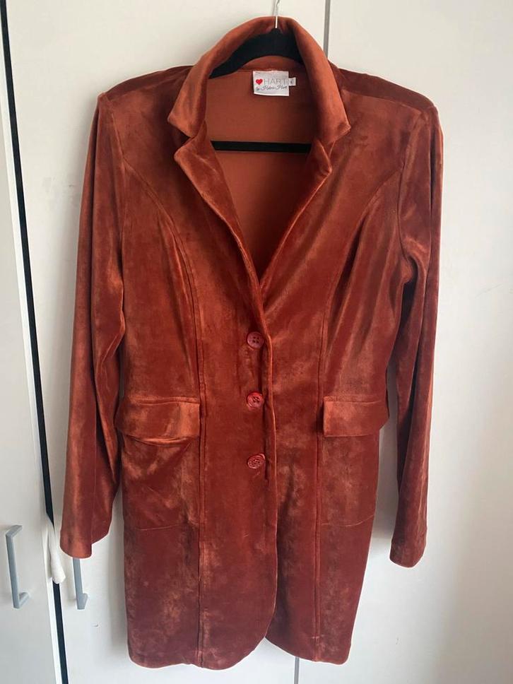Helena Hart Velours Jas/Blazer - Maat L, Kleding | Dames, Jasjes, Kostuums en Pakken, Zo goed als nieuw, Jasje, Maat 42/44 (L)