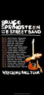 Ticket voor Bruce Springsteen and the E Streetband, Tickets en Kaartjes, Juni, Eén persoon