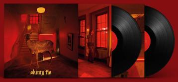 Vinyl 2LP Fontaines DC D.C. Skinty Fia Ltd 45RPM Vinyl NIEUW beschikbaar voor biedingen