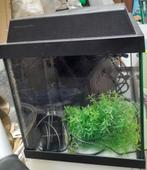 Aquarium, Ophalen, Leeg aquarium