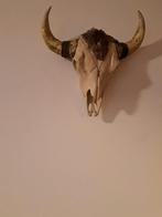 Mooie skull, Ophalen, Zo goed als nieuw