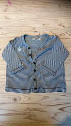 Lekker vestje Imps & Elfs, Zo goed als nieuw, Truitje of Vestje, Jongetje of Meisje, Imps & Elfs