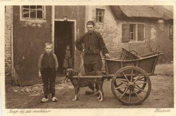 Jaap bij de melkkar - Huizen - B-keus - 1927 gelopen beschikbaar voor biedingen