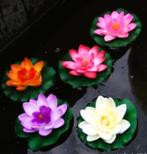 Mini Waterlelie 'Sunset' - 9,5 cm - NIEUW! [B - 186], Ophalen, Nieuw, Binnen