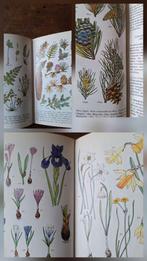Moussault Alpenflora van het Europese bergland, 884 plaatjes, Ophalen of Verzenden