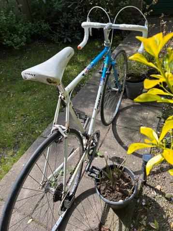 Giant Swift 58cm beschikbaar voor biedingen