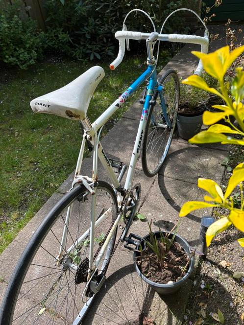 Giant Swift 58cm, Fietsen en Brommers, Fietsen | Racefietsen, Gebruikt, Giant, Meer dan 20 versnellingen, 57 tot 61 cm, Ophalen