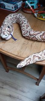 Grote pluchen slang jungle 160 cmbruin/beige, Ophalen, Zo goed als nieuw, Overige typen