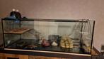 Schildpadden aquarium 140 cm, Dieren en Toebehoren, Vissen | Aquaria en Toebehoren, Ophalen, Gevuld zoetwateraquarium