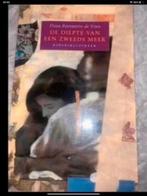 De diepte van een Zweeds meer, Ophalen of Verzenden