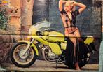 Super poster Rickman Kawasaki met pin-up, Verzenden, Nieuw, Motoren