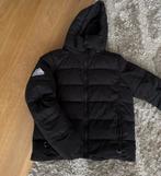 Superdry winterjas maat L, Ophalen of Verzenden, Zo goed als nieuw