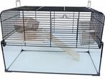 Hamster kooi glas vision, Dieren en Toebehoren, Knaagdieren en Konijnen | Hokken en Kooien, Kooi, Minder dan 60 cm, Ophalen of Verzenden