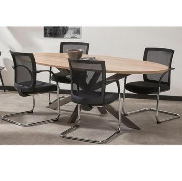 MN Vergadertafel Ellips Stervoet B220xD110 beschikbaar voor biedingen